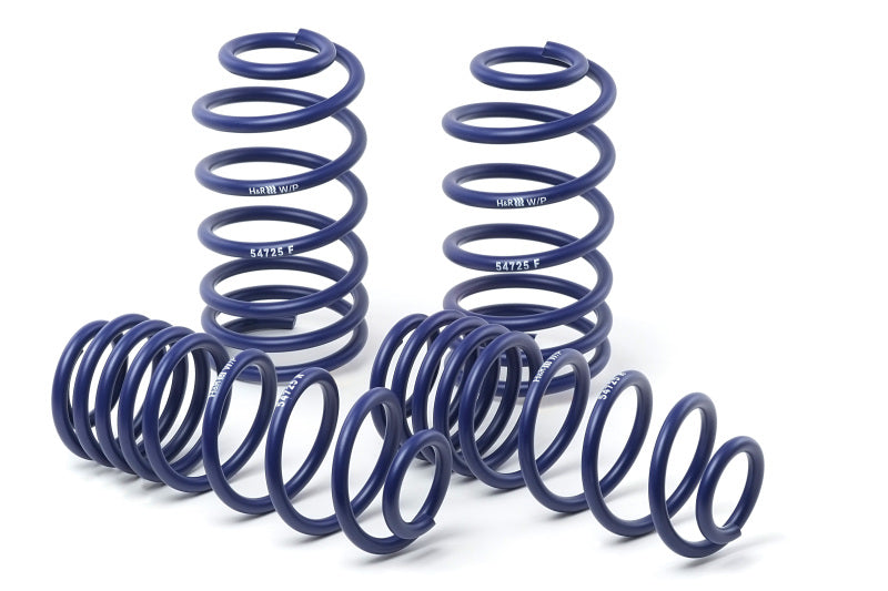 H&R 06-10 Dodge Charger RT/SE/SXT V6/V8 (2WD) Sport Spring (w/Nivomat Only)