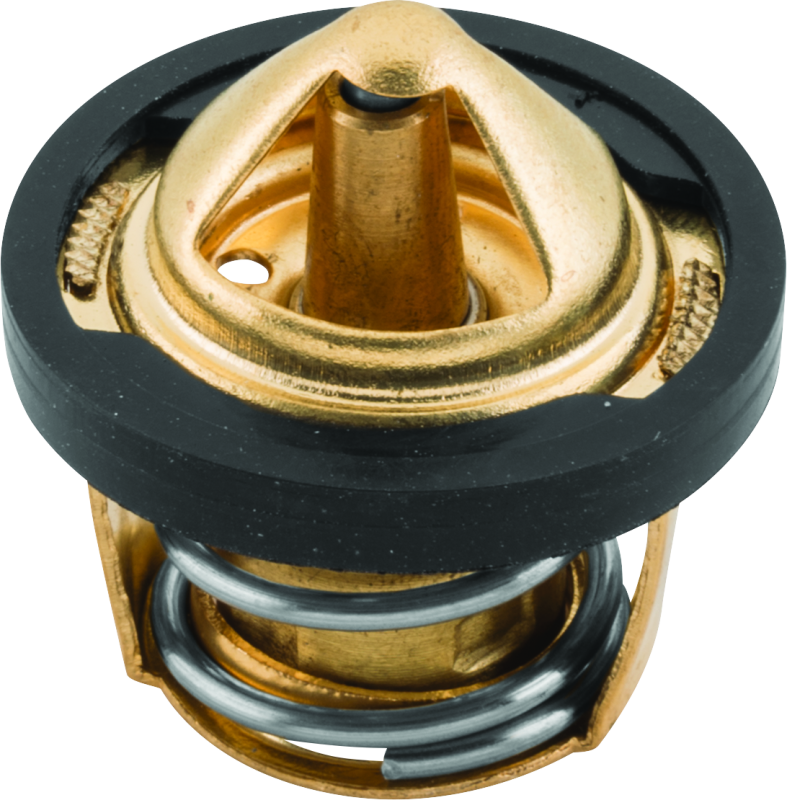 QuadBoss 04-05 Polaris ATP 500 Thermostat